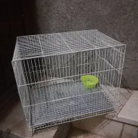 قفس پرنده