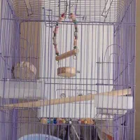 چهارصددرحدنوع