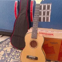گیتار اوکو له له پیکاپدار