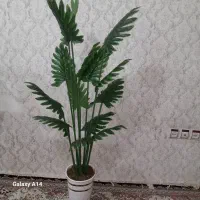 گل میلان|گل مصنوعی|ارومیه, |دیوار