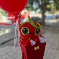 حراج انواع باکس هدیه عروسکی