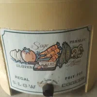 آرام پز رگال اصل امریکا