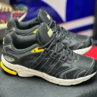 zx فارماتون