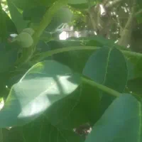 نیازمند کارگر