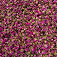 غنچه اصل لاله زار(بیواسطه عمده)