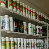 سمپاشی منازل ریشه کنی ساس سم پاشی سوسک