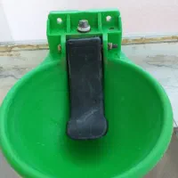 آبشخور اسب