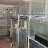 آکواریوم  با پایه پرورش ماهی