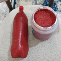 رب خانگی
