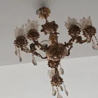 لوستربرنزسه شاخه