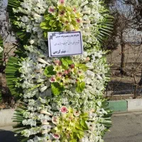 تاج گل طبیعی ختم