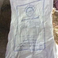 گونی