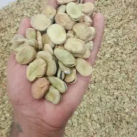 باقالی خشک