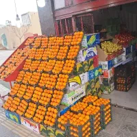ارزان سرای میوه زیر قیمت میدان میوه تره بار
