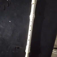 فلوت