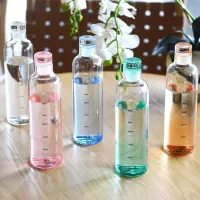 بطری آب پیرکس رنگی وارداتی در 3سایز به قیمت دبی