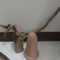 چوب ابنوس  و کوزه مخصوص دیسکس