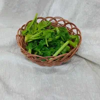 سبد سبزی ارغوانِ یسنا