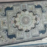 پادری ۱۲۰۰ شانه