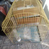 قفس پرنده