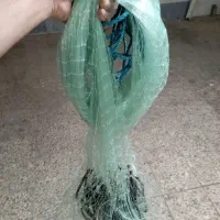 سلیه ماهیگیری