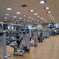 مربی بدنسازی و فیتنس هستم