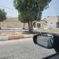 زمین-ریشهر-گذر-اصلی
