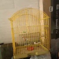 قفس بزرگ و سالم