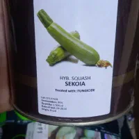 بزر کدو خورشتی