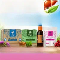 مینی پک کبد چرب و چربی خون نیوشا