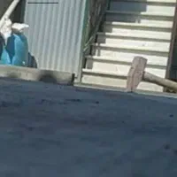 جوشکار بنّا لوله‌کش سرامیک‌موزایئک ایزوگام قیر