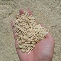فروش جو آبی