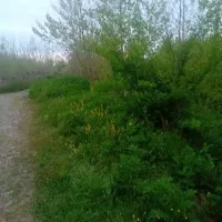 زمین ویلایی لوکیشن  دنج و آرام