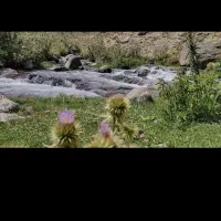 تور اردبیل با ماشین شخصی