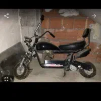 کلکسیونی برای ویترین مغازه