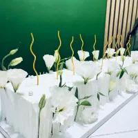 ماکت کیک عروس از ۷۰۰تومن بسیار تمیز