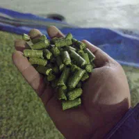 یونجه پلت خوراک دام به صرفه