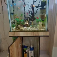 آکواریوم با پایه سالم فوری