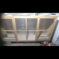 لونه پران کبوتر