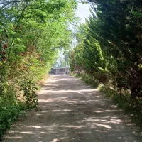 نیرو خدماتی خانم