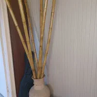 بامبو و گلدان