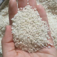 برنج هاشمی لاشه