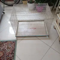 قفس پرنده