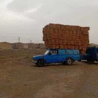پرس گندم شمال