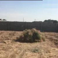 زمین مقسم