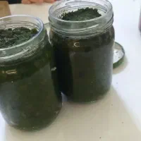 ترشی .ابغوره