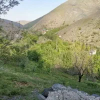 باغ ویلای سرسبز دهبار