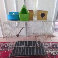 قفس