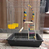قفس پرنده