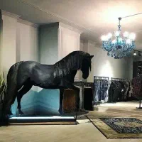 استخدام رسمی بانوان جهت مدلینگ مزون